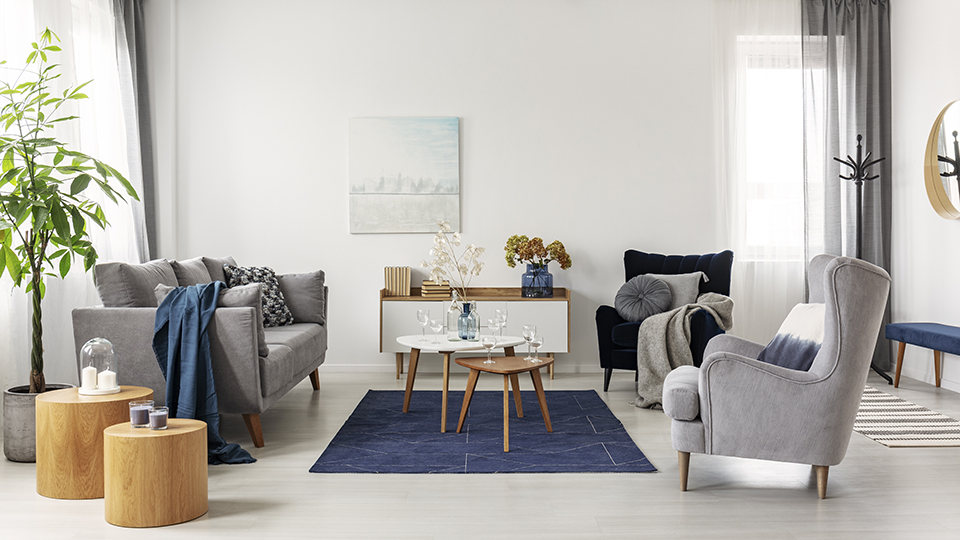 Grey and navy blue living room interior with comfortable sofa and armchairs